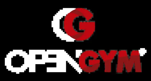 OpenGym